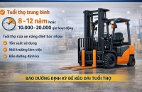 Xe nâng điện dùng được bao lâu