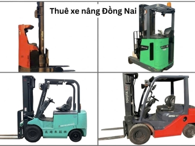 Thuê xe nâng Biên Hòa giá rẻ