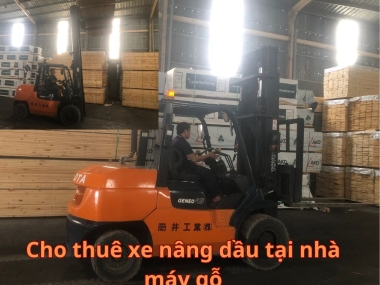 Thuê Xe Nâng KCN Tân Bình Bình Dương: Uy Tín, Giá Rẻ, Có Mặt Ngay