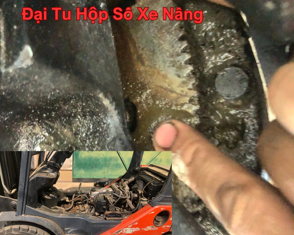 sửa hộp số xe nâng